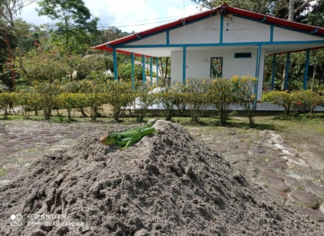 Hostal Campestre El Santuario 菲兰迪亚 外观 照片
